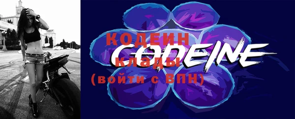 скорость Гусев