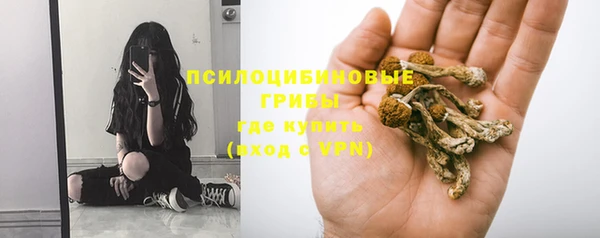 скорость Гусев