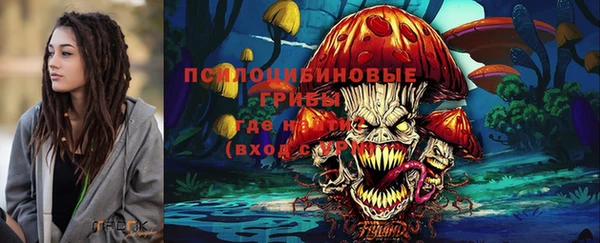 хмурый Гусиноозёрск