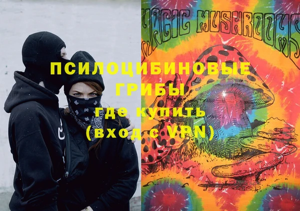 скорость Гусев